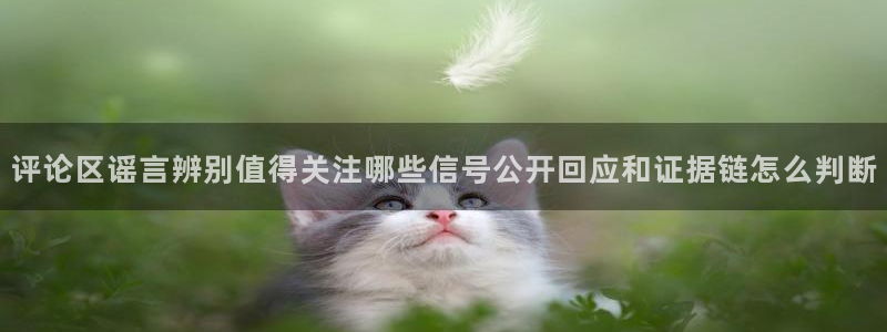 黑料每日热点：评论区谣言辨别值得关注哪些信号公开回应和证据链怎么判断