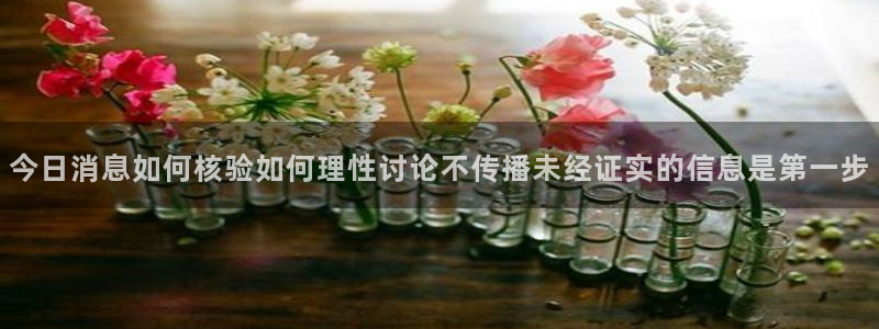 网络黑料资讯:今日消息如何核验如何理性讨论不传播未经证实的信息是第一步