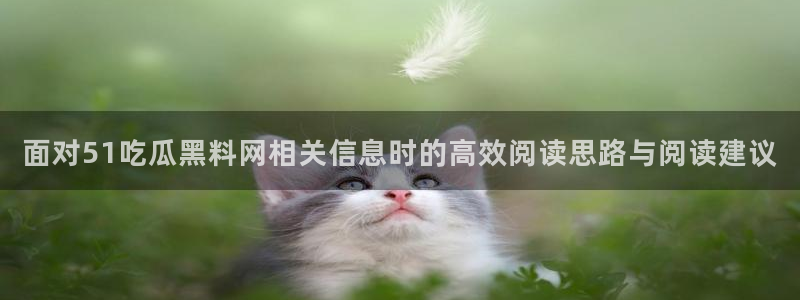 网络事件动态：面对51吃瓜黑料网相关信息时的高效阅读思路与阅读建议