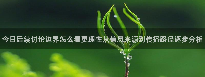 事件爆料大全:今日后续讨论边界怎么看更理性从信息来源到传播路径逐步分析