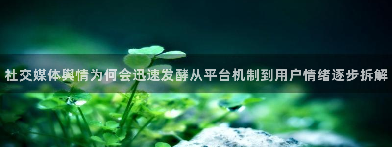 黑料爆料热门热搜：社交媒体舆情为何会迅速发酵从平台机制到用户情绪逐步拆解